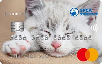 SPCA Mastercard (Kitten)